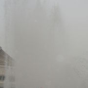 ���������� �����������, ���� ������� �����, 41 ���, ������������ 