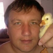  ,   , 38 ,   c 
