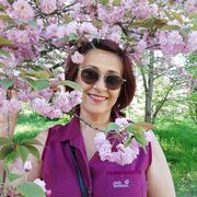 ���������� �����������, ���� ������� ��������, 63 ����, ������������ ��� ������, ����� � ���������, c�������� ���������