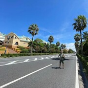  ,   , 37 ,   ,   