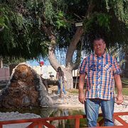  ,   , 54 ,   ,   , c 