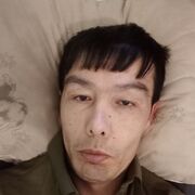  -,   , 40 ,  