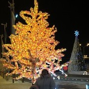 ������ ������ !