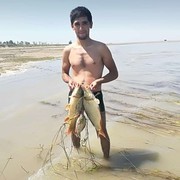 ���������� �������, ���� ������� ���, 33 ����, ������������ ��� ������, ����� � ���������, c�������� ���������, ���������