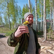 ���������� ���������, ���� ������� ����������, 38 ���, ������������ ��� ������, ����� � ���������, c�������� ���������, ���������