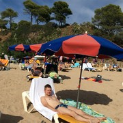 ���������� �����-���������, ���� ������� ����, 33 ����, ������������ ��� ������, ����� � ���������, c�������� ���������