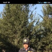 -,   , 57 ,   