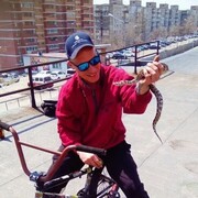 ���������� �����������, ���� ������� ������, 33 ����, ������������ ��� ������, ����� � ���������