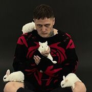 ���������� �����-���������, ���� ������� ������, 30 ���, ������������ ��� ���������