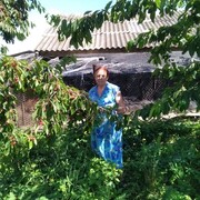  ,   , 77 ,   ,   