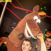 ���������� ����, ���� ������� ����, 37 ���, ������������ ��� ������