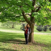 ���������� �����-���������, ���� ������� ����, 50 ���, ������������ ��� ����� � ���������, c�������� ���������