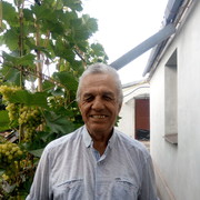  ,   , 75 ,  