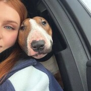 ���������� ������, �������