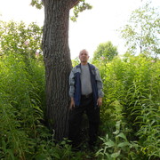  ,  vitaly, 74