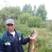  ,   Sfas, 43 ,   ,   