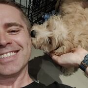 ���������� ������, ���� ������� ������, 51 ���, ������������ ��� ����� � ���������, c�������� ���������