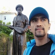  -,    , 33 ,   