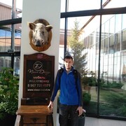 ���������� ������, ���� ������� �������, 42 ����, ������������ 