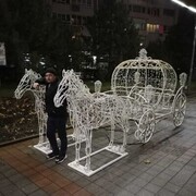  -,   Joni, 36 ,   ,   , c , 