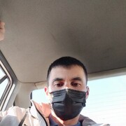 ���������� �������, ���� ������� Sardor, 39 ���, ������������ ��� ������, ����� � ���������, c�������� ���������