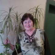 ���������� ������, ���� ������� ������, 65 ���, ������������ ��� ����� � ���������, c�������� ���������