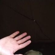  ,   , 50 ,   ,   , c , 