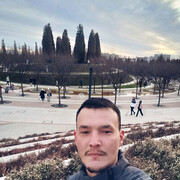 ���������� ���������, ���� ������� ������, 28 ���, ������������ ��� ������, ����� � ���������