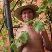 ���������� ���, ���� ������� ������, 52 ����, ������������ ��� ������, ����� � ���������, c�������� ���������