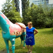 ���������� ����, ���� ������� ����, 44 ����, ������������ ��� ������, ����� � ���������, c�������� ���������