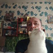  ,   , 41 ,   c , 