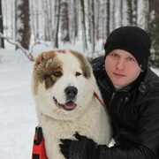 ���������� �������, ���� ������� ������, 38 ���, ������������ ��� ������, ����� � ���������, c�������� ���������, ���������