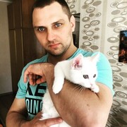 ���������� �����, ���� ������� ������, 40 ���, ������������ ��� ������, ����� � ���������