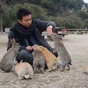 ���������� �����, ���� ������� ������ ����, 39 ���, ������������ ��� ����� � ���������, c�������� ���������