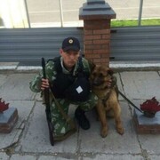 ���������� ������, ���� ������� ����, 38 ���, ������������ ��� ������, ����� � ���������, c�������� ���������, ���������