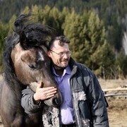 ���������� �����������, ���� ������� ������, 55 ���, ������������ ��� ������, ����� � ���������