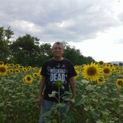  ,   , 52 ,   ,   , c 