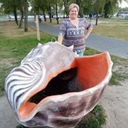  ,   , 58 ,   ,   , c 
