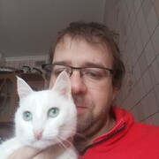 ���������� ����������, ���� ������� �������, 37 ���, ������������ ��� ������, ����� � ���������, c�������� ���������, ���������