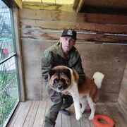 ���������� �����������, ���� ������� ����, 52 ����, ������������ ��� ������, ����� � ���������