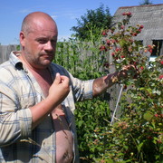  ,   c, 52 ,  