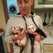 ���������� ��������, ���� ������� ������, 45 ���, ������������ ��� ������