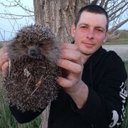  ,   , 34 ,     , c , 