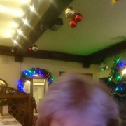 ���������� ������, ���� ������� �����, 55 ���, ������������ ��� ������