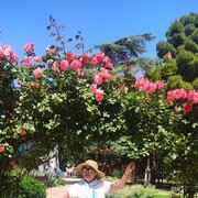 ���������� ������, ���� ������� �������, 63 ����, ������������ ��� ������, ����� � ���������, c�������� ���������, ���������