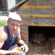 ���������� ��������, ���� ������� ����, 44 ����, ������������ ��� ������, ����� � ���������