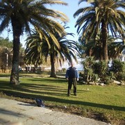 ���������� ������-��-����, ���� ������� �������, 64 ����, ������������ ��� ����� � ���������, c�������� ���������