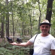 ,   , 44 ,   ,   