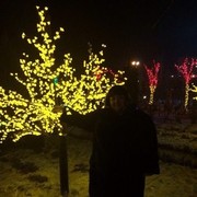 ���������� ������, ���� ������� �������, 40 ���, ������������ ��� ������, ����� � ���������, c�������� ���������