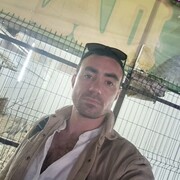  ,  , 29